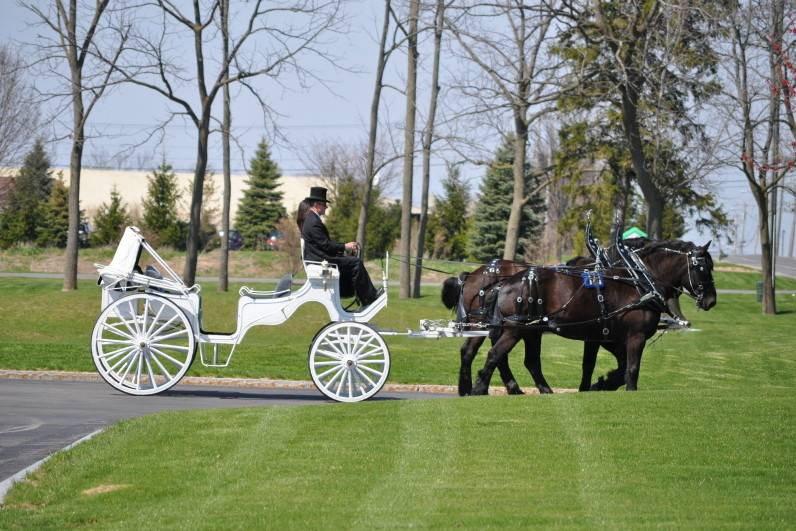 Hemlock Hidden Hames- horse carriage