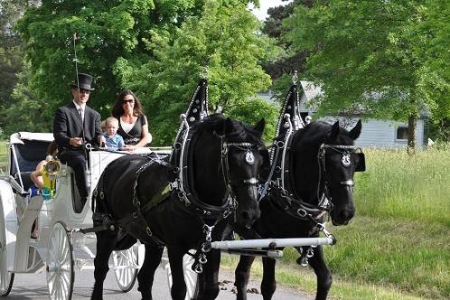 Hemlock Hidden Hames- horse carriage