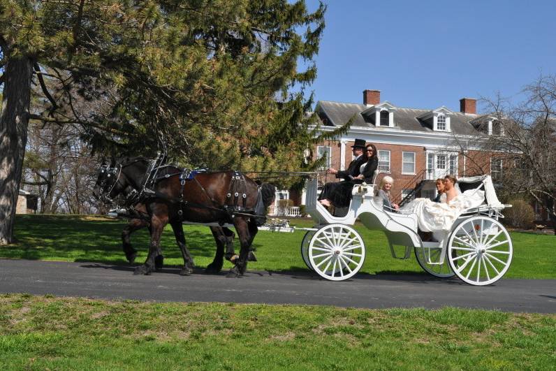 Hemlock Hidden Hames- horse carriage