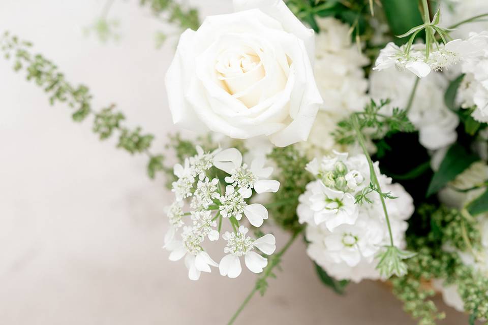 Ceremony in White with a pop