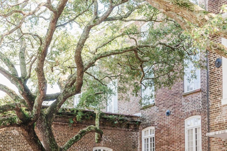 Front Wedding Arch