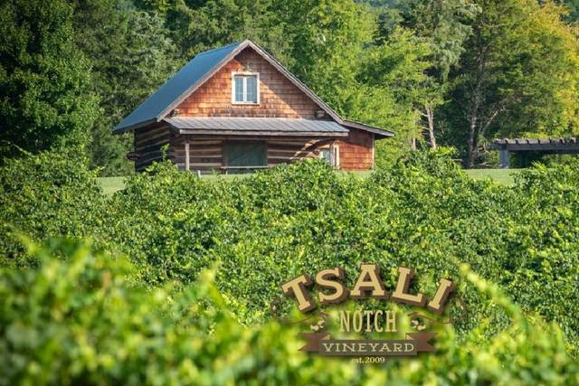 Tsali Notch Vineyard