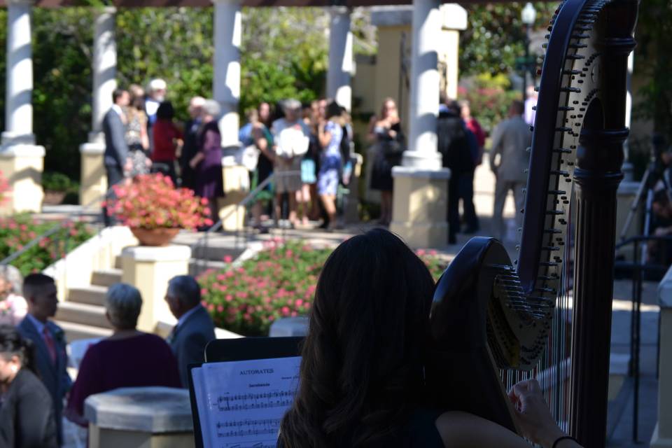 Harpist Kristen Elizabeth