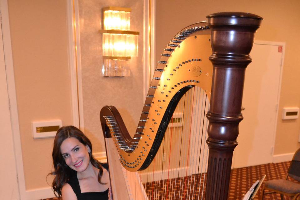 Harpist Kristen Elizabeth