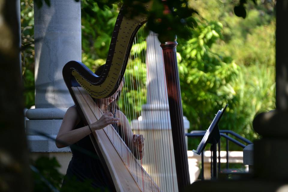 Harpist Kristen Elizabeth