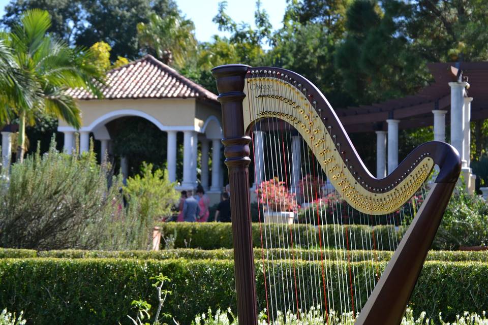 Harpist Kristen Elizabeth