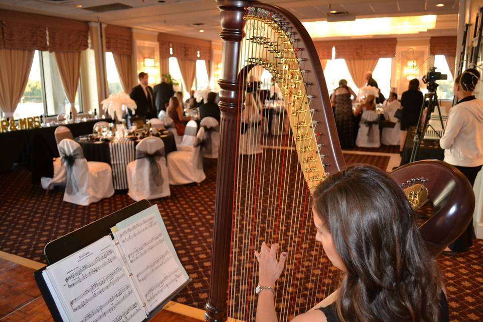 Harpist Kristen Elizabeth