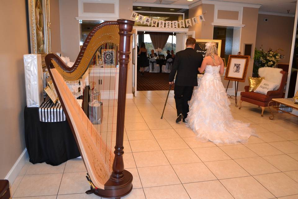 Harpist Kristen Elizabeth