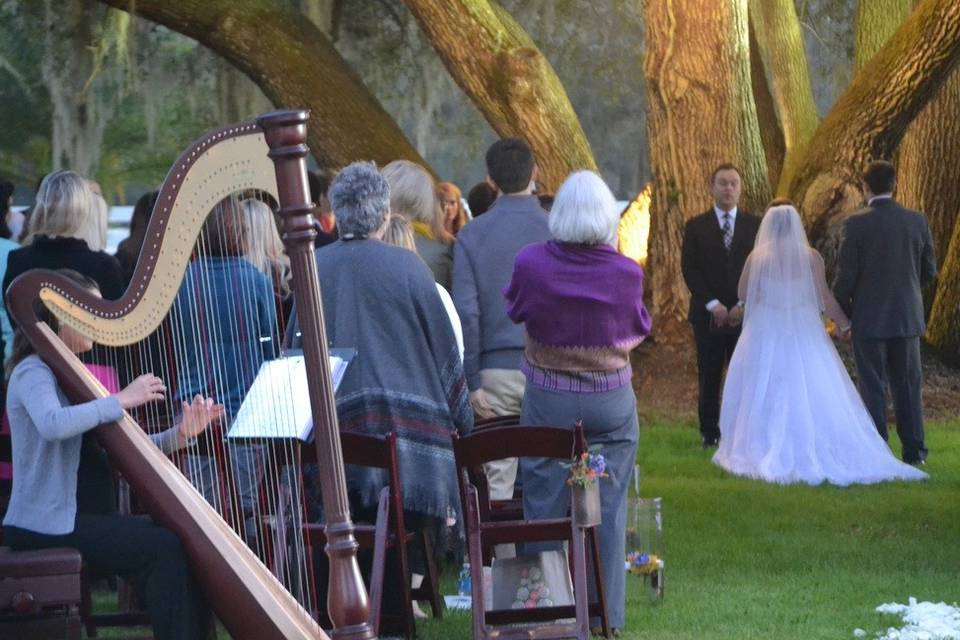 Harpist Kristen Elizabeth