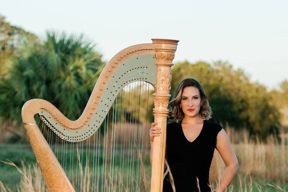 Award Winning Tampa Harpist