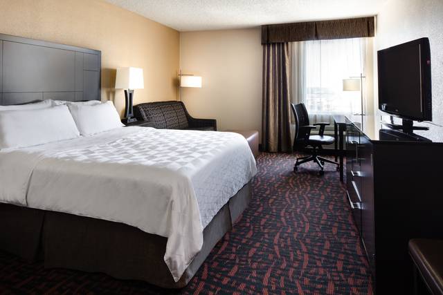 King Guest Room