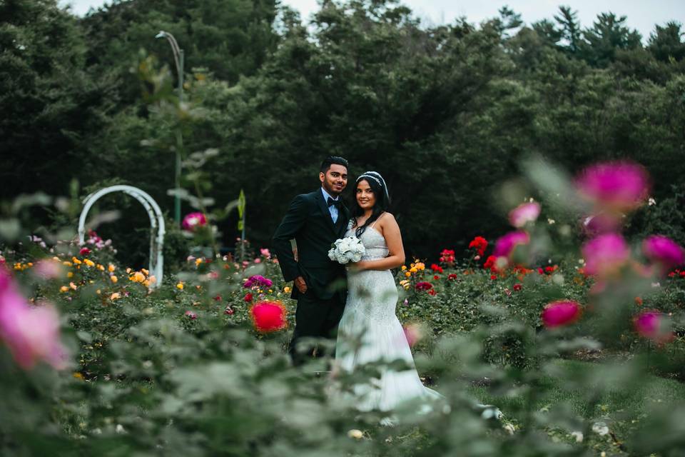 Wedding Photographer, Albany