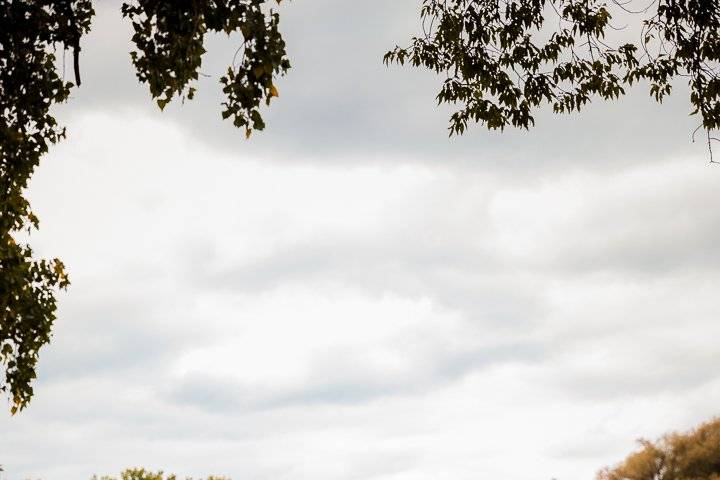 Wedding Photographer, Albany