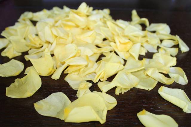 Yellow Rose