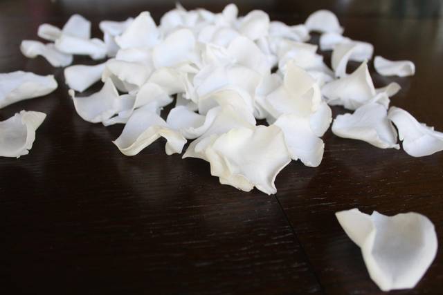 White Rose