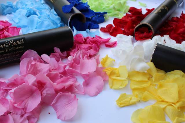 Colorful Petals