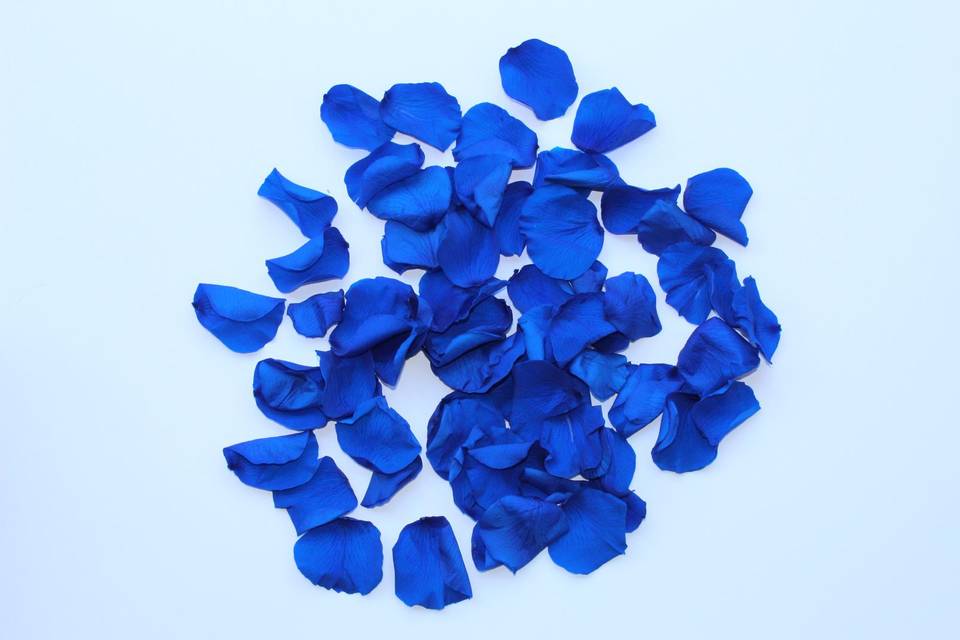Royal Blue Rose