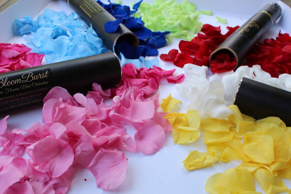 Colorful petals