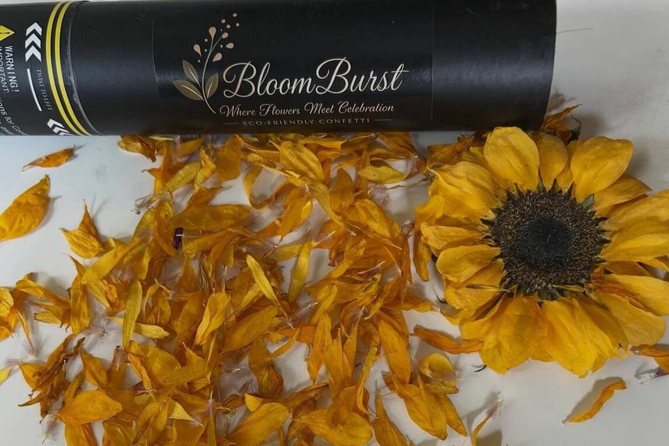 BloomBurst