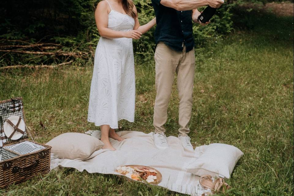 Engagement photos