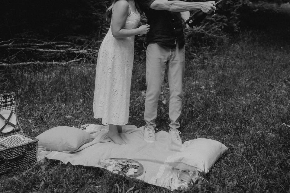 Engagement photos