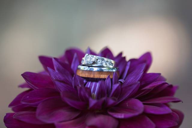 Pastores Photography