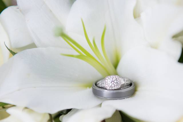 Pamela Berry Photography
