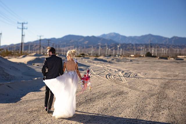 Shegoes Photography & Designs