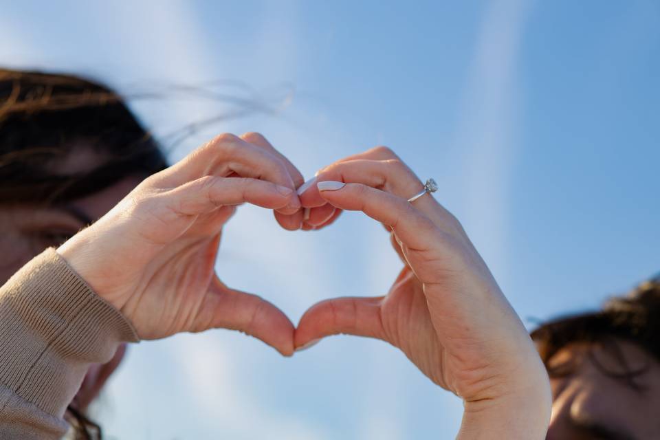 Love is The Goal