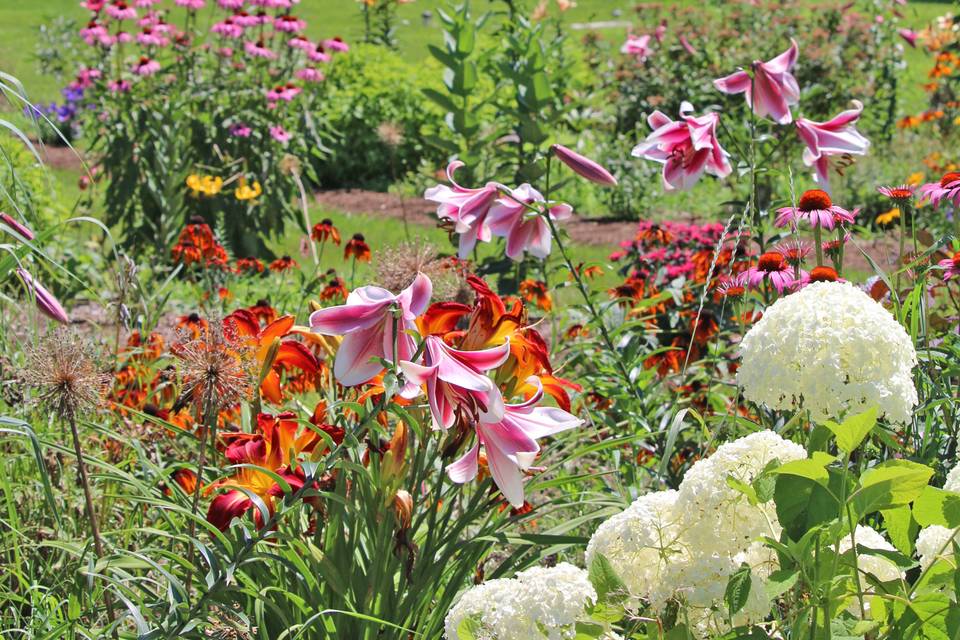 Lilies and hydrangeas