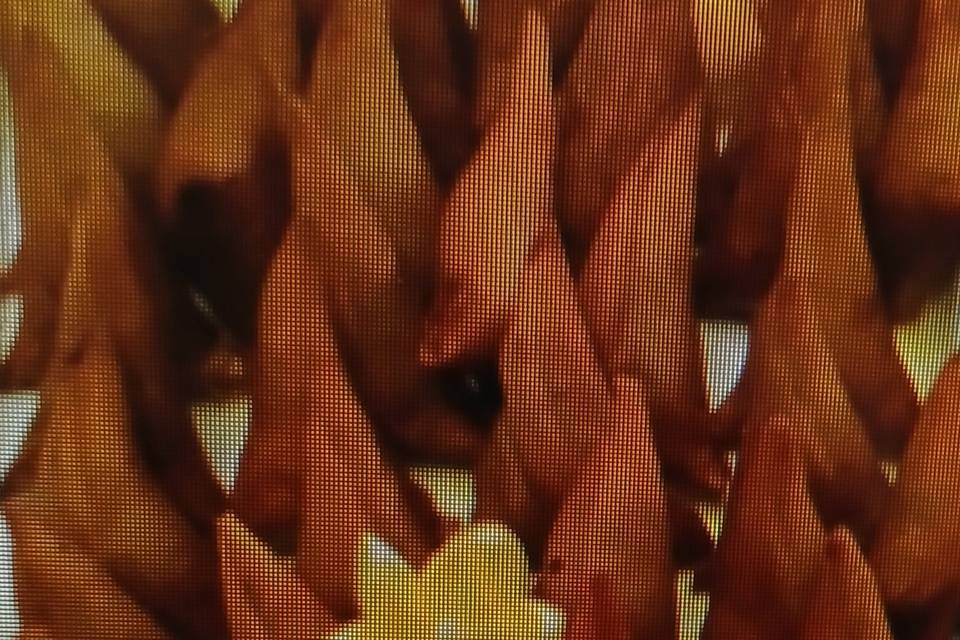 Samosas