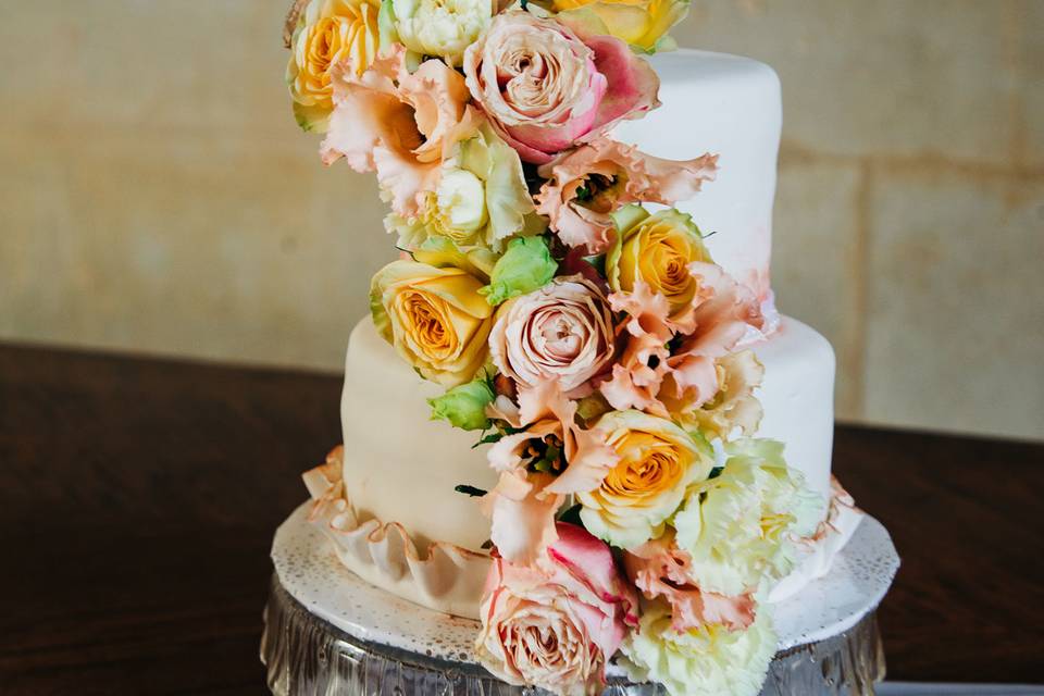 Lauren Haddow Photography