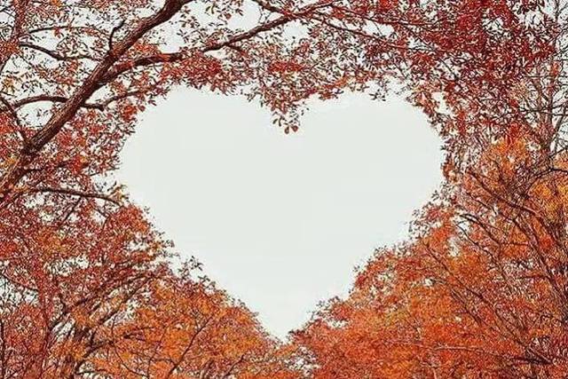 Love is in the Air