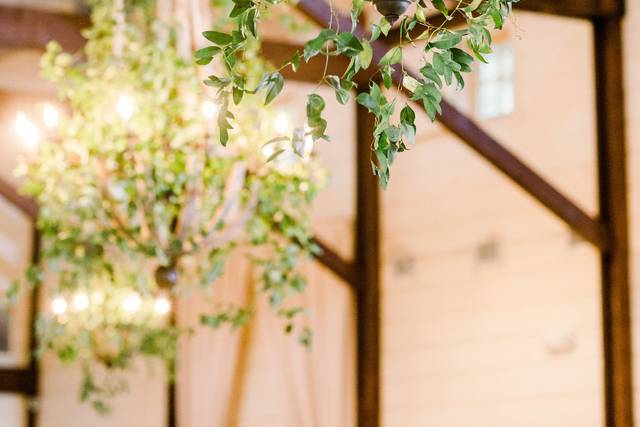 Audrey Rose Photography