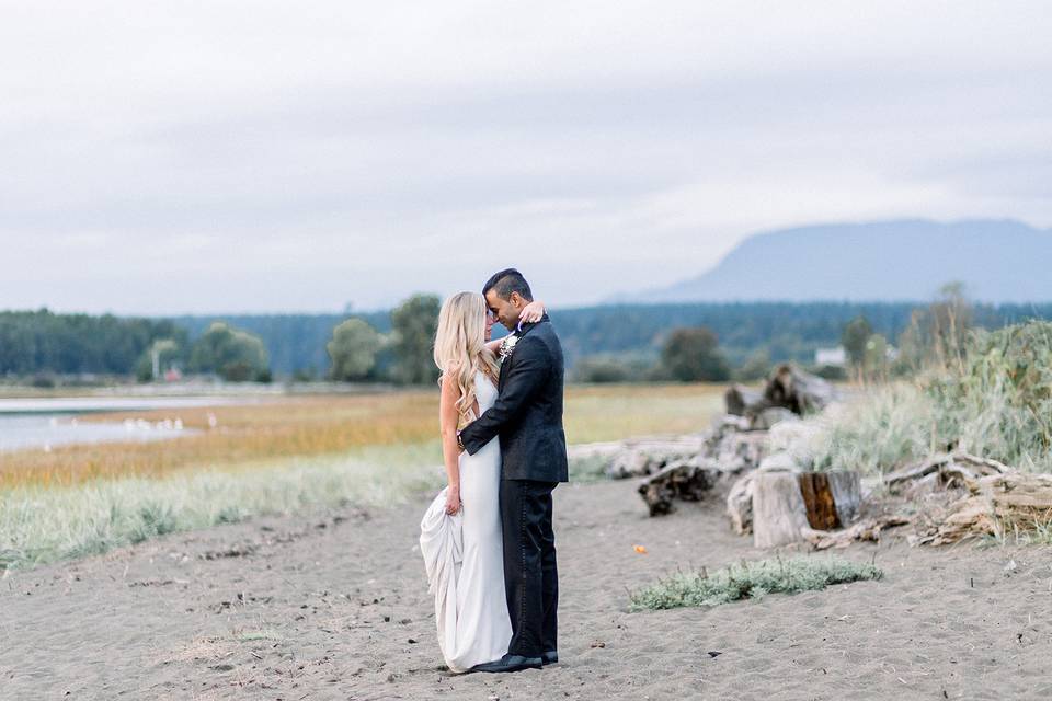 Timeless Tree Weddings