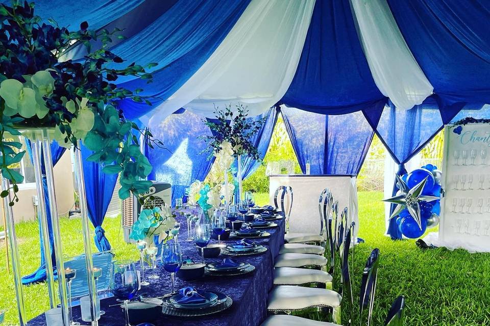 creative elegance