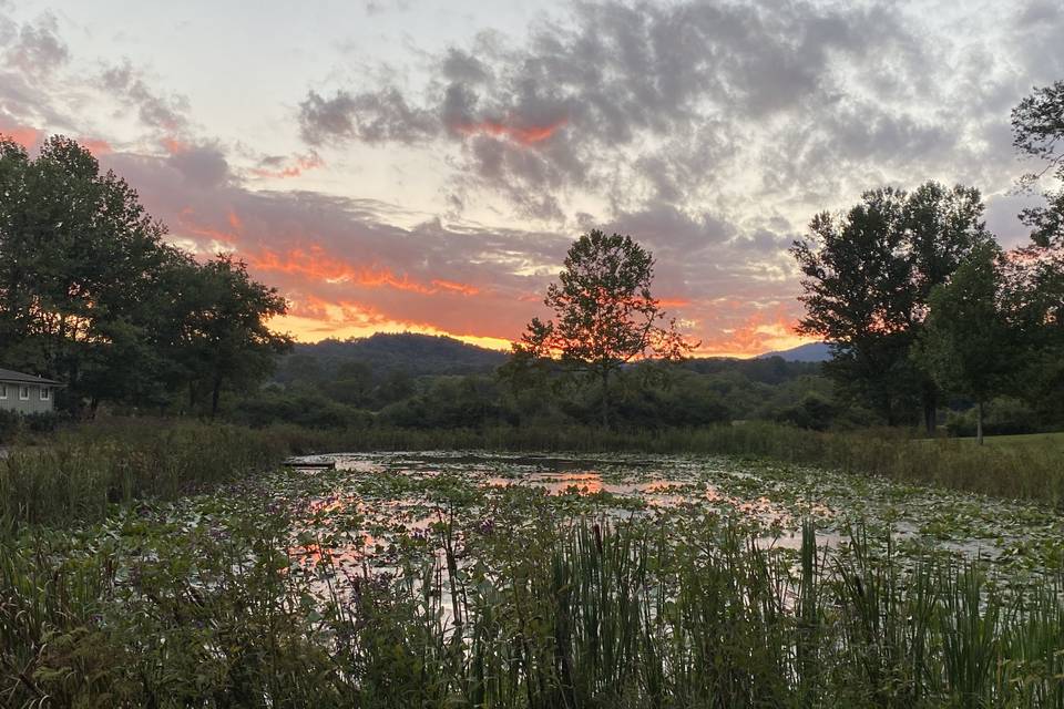 Sunset over the pond