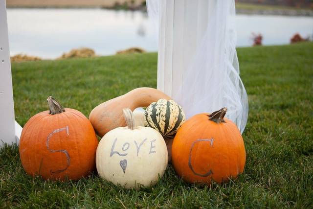 Vows Wedding and Event Planning