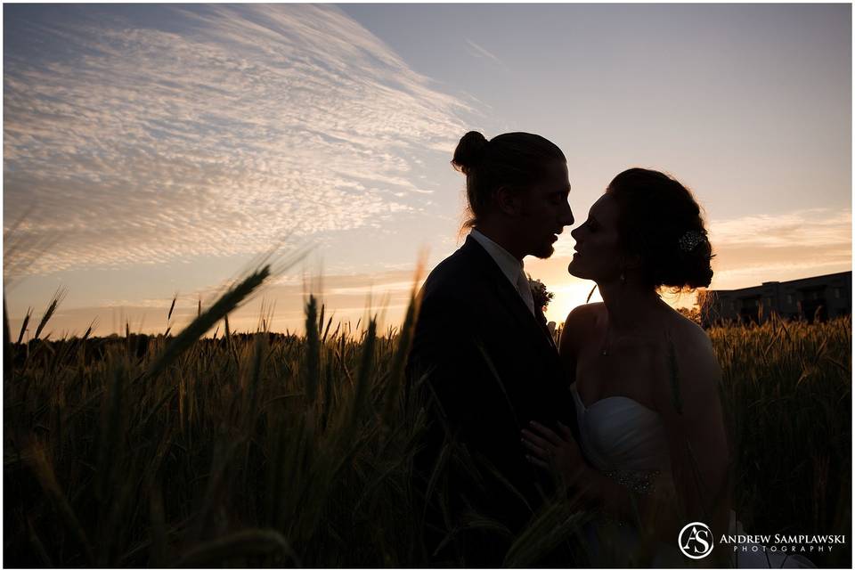 Silhouette at sunset