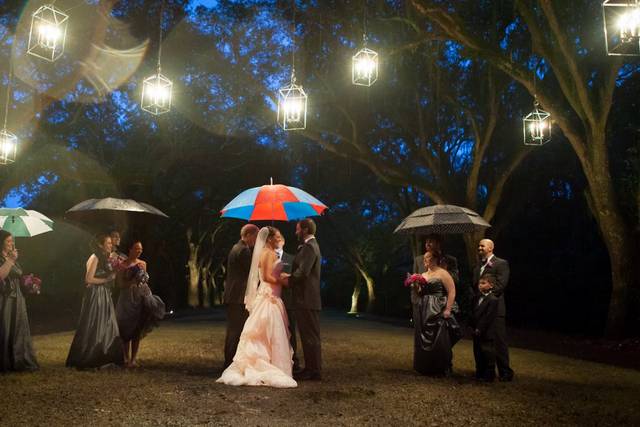 Susan Lloyd Photography