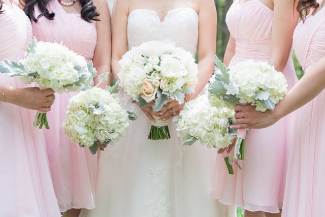 Bride and her bridesmaids