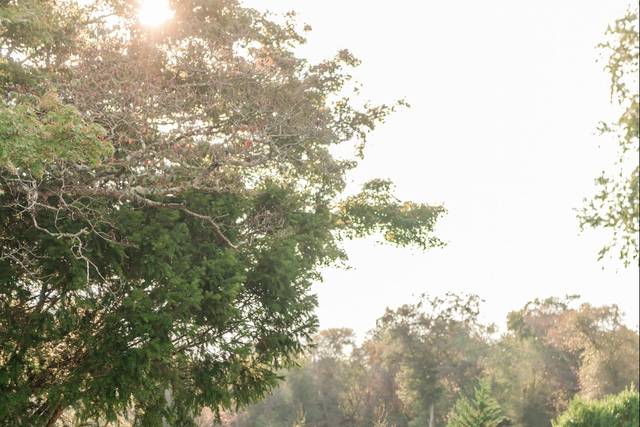 Eastlyn