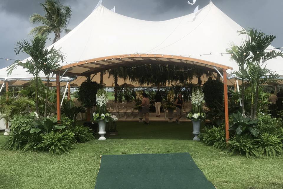 Live foliage event decor