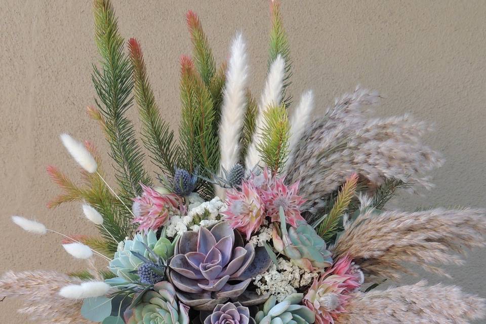 Succulently Urban