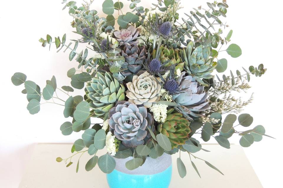 Succulently Urban