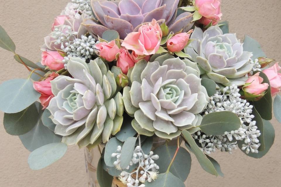 Succulent (lolas) and pink