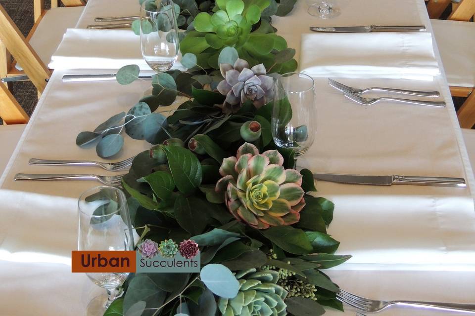 Succulent Table Runner