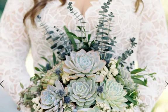 Succulents with blue accents