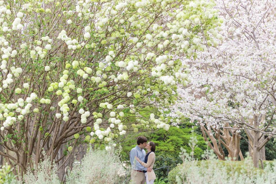 Fort Worth Botanic Gardens