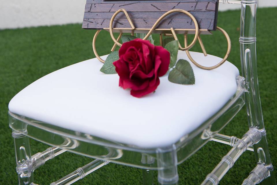 Red accent rose